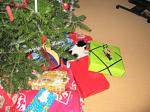 21 Katten kigger på gaver.jpg